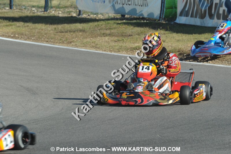 DSC_ (71).JPG